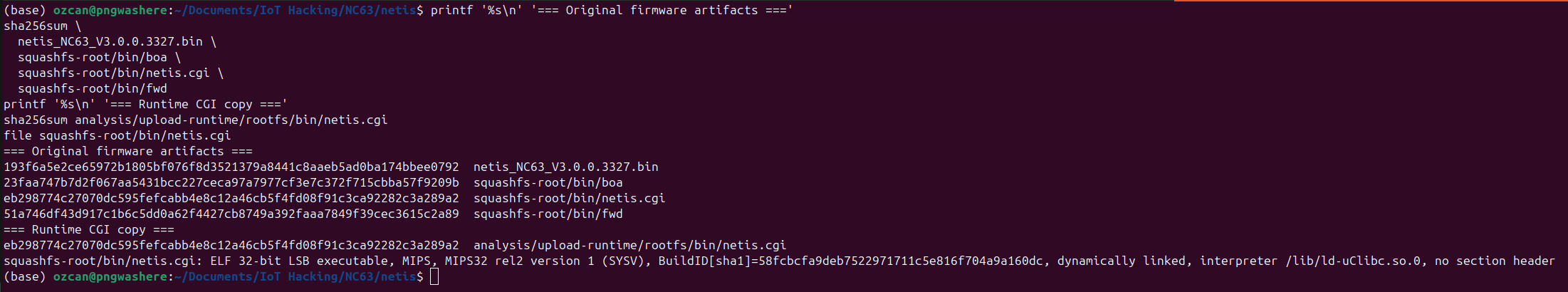 Original and runtime binary hashes